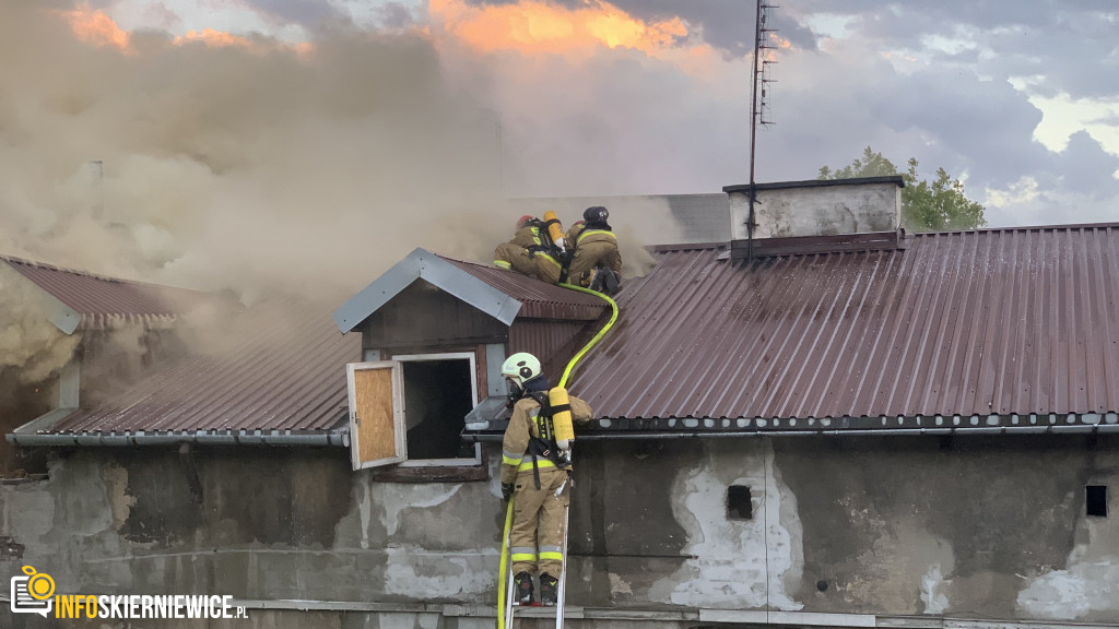 Pożar pustostanu przy ulicy Ogrodowej w Skierniewicach