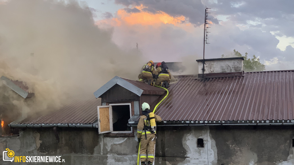 Pożar pustostanu przy ulicy Ogrodowej w Skierniewicach