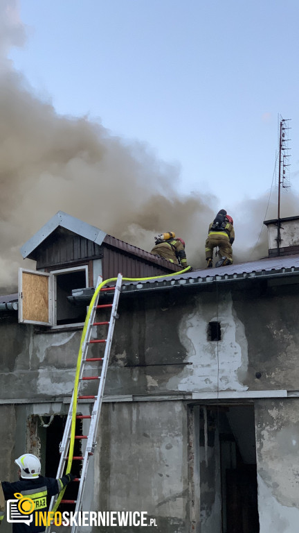 Pożar pustostanu przy ulicy Ogrodowej w Skierniewicach