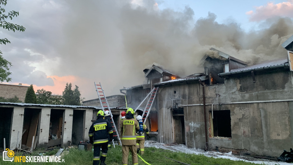 Pożar pustostanu przy ulicy Ogrodowej w Skierniewicach