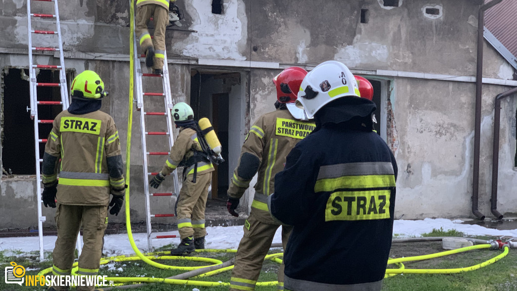 Pożar pustostanu przy ulicy Ogrodowej w Skierniewicach