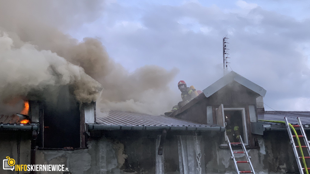 Pożar pustostanu przy ulicy Ogrodowej w Skierniewicach