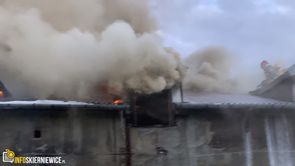 Pożar pustostanu przy ulicy Ogrodowej w Skierniewicach