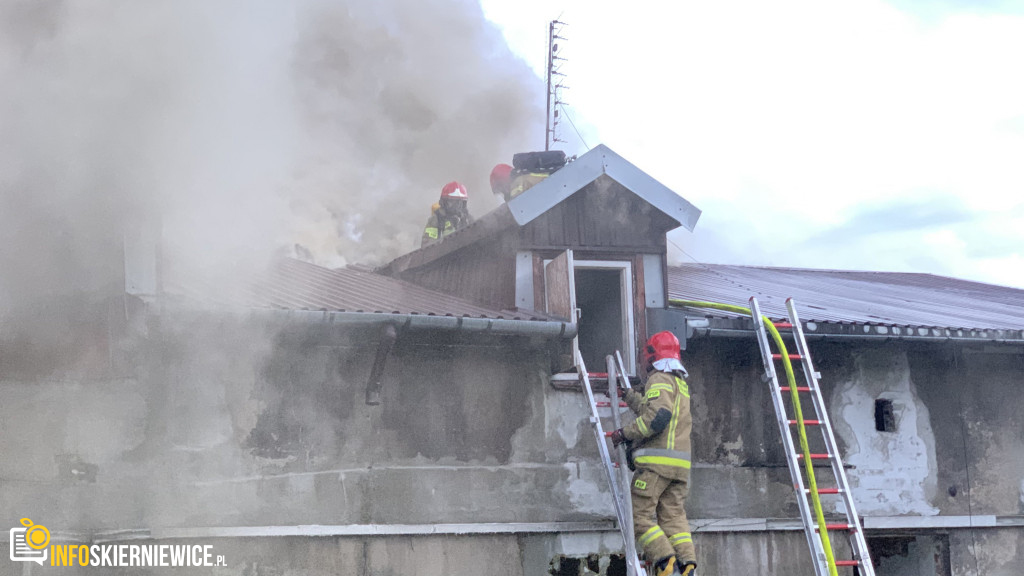 Pożar pustostanu przy ulicy Ogrodowej w Skierniewicach