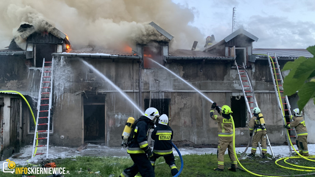 Pożar pustostanu przy ulicy Ogrodowej w Skierniewicach