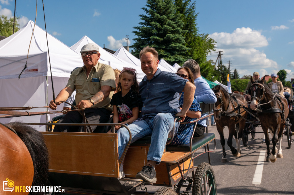 Dzień Reymonta 2022 w Lipce Reymontowskie