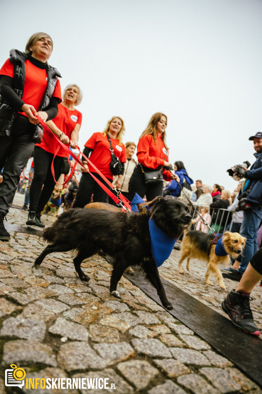 Parada 45. Skierniewickiego Święta Kwiatów, Owoców i Warzyw SŚKOiW 2022