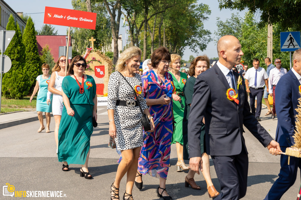 Dożynki Powiatu Skierniewickiego – Godzianów 2023