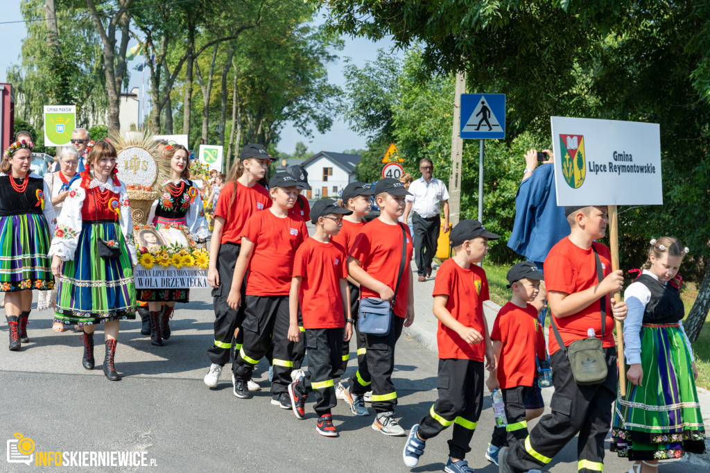 Dożynki Powiatu Skierniewickiego – Godzianów 2023