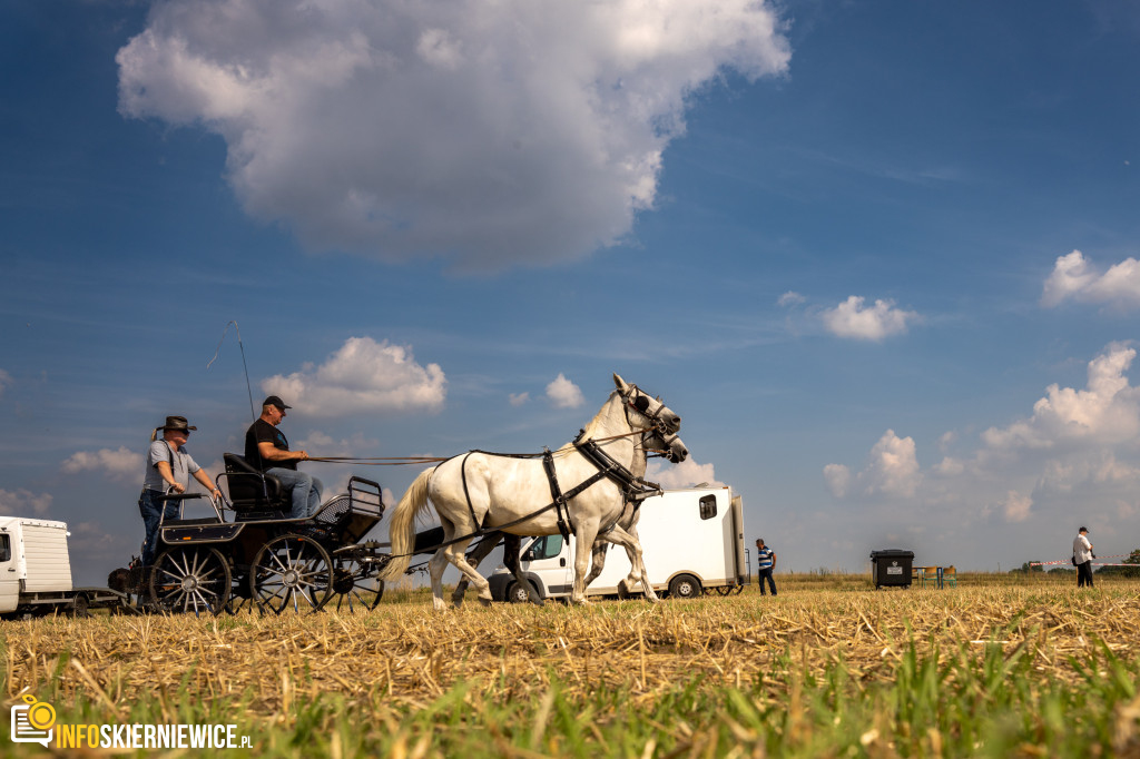 Dożynki Powiatu Skierniewickiego – Godzianów 2023