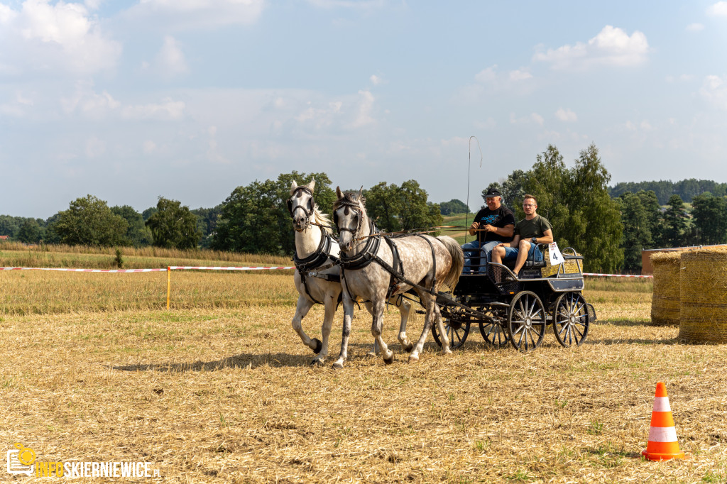 Dożynki Powiatu Skierniewickiego – Godzianów 2023