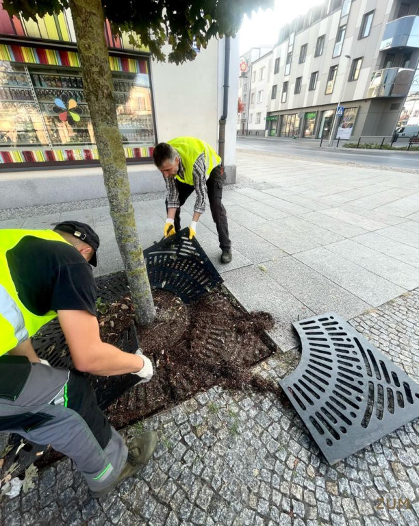 Skierniewice: Zakład Utrzymania Miasta Intensyfikuje Prace Porządkowe