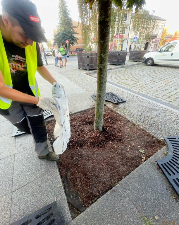 Skierniewice: Zakład Utrzymania Miasta Intensyfikuje Prace Porządkowe