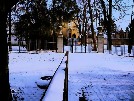 zima park 1