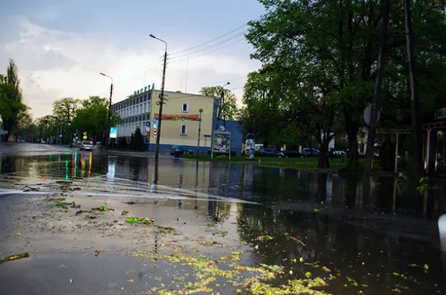 dsc 0129
