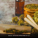 skierniewice seria zatrzyman za posiadanie narkotykow
