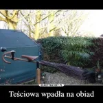 memy na dzien tesciowej 14