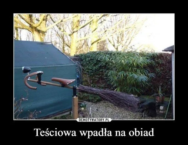 memy na dzien tesciowej 14