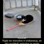 memy na dzien tesciowej 16