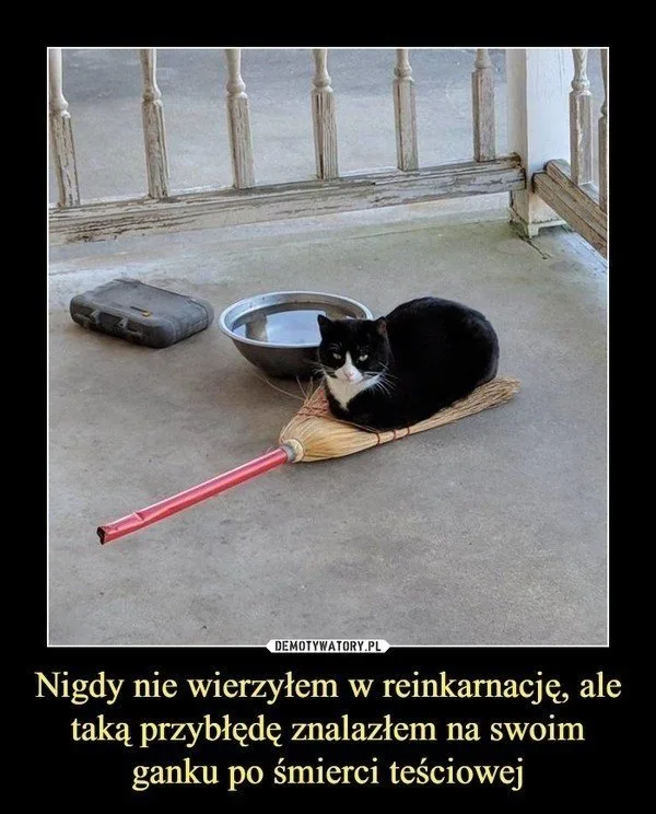 memy na dzien tesciowej 16