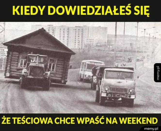 memy na dzien tesciowej 4