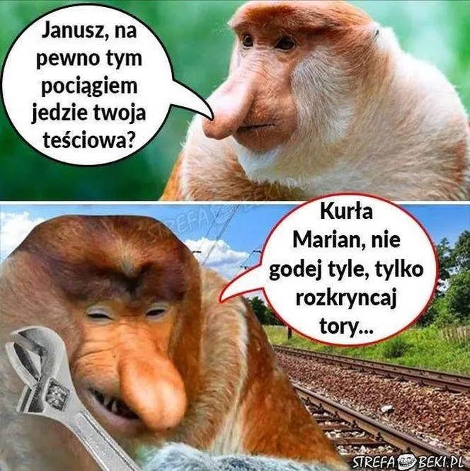 memy na dzien tesciowej 9