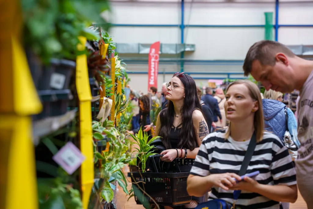 festiwal roslin 2025 w skierniewicach zobacz jak wygladalo wydarzenie 25 z 48