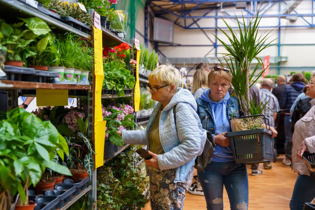 Festiwal Roślin 2025 w Skierniewicach – zobacz, jak wyglądało wydarzenie! 38 festiwal roslin 2025 w skierniewicach zobacz jak wygladalo wydarzenie 26 z 48