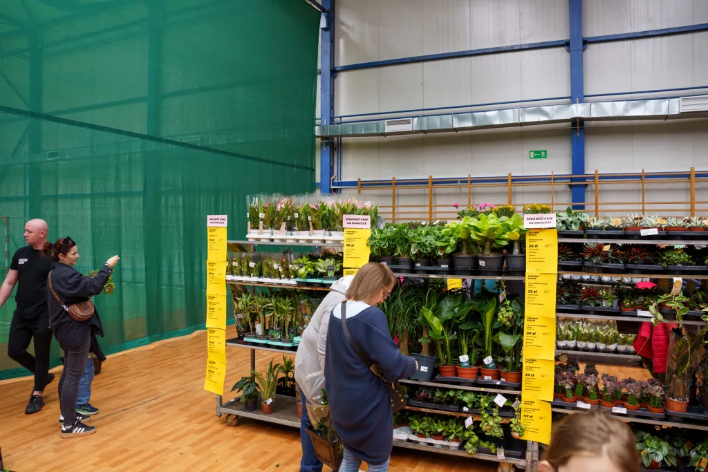 festiwal roslin 2025 w skierniewicach zobacz jak wygladalo wydarzenie 39 z 48