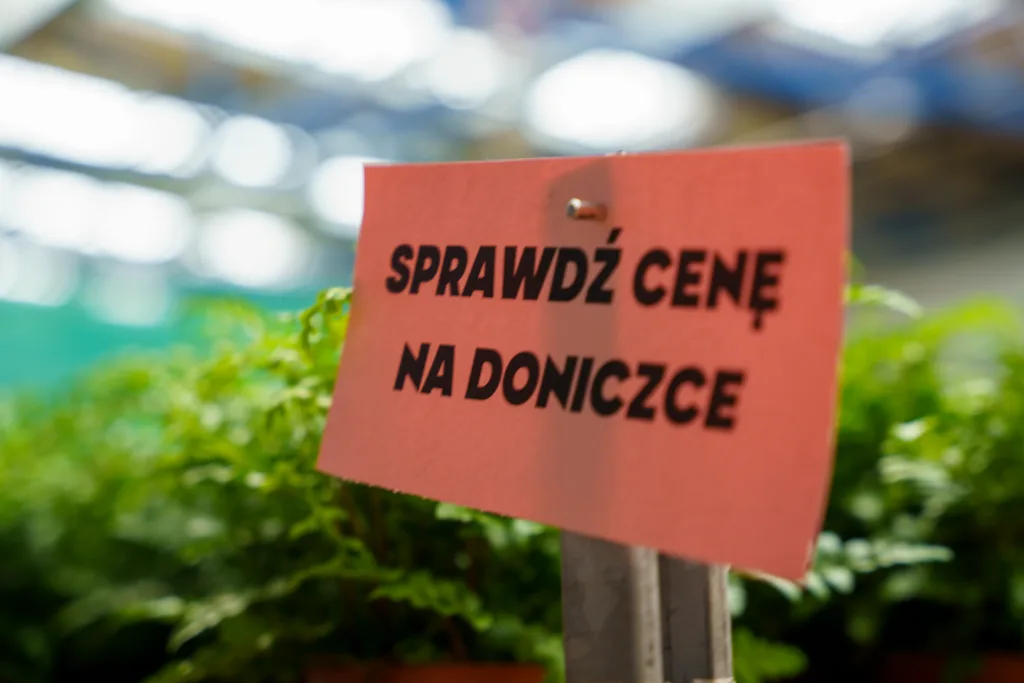 festiwal roslin 2025 w skierniewicach zobacz jak wygladalo wydarzenie 45 z 48