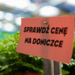 festiwal roslin 2025 w skierniewicach zobacz jak wygladalo wydarzenie 45 z 48