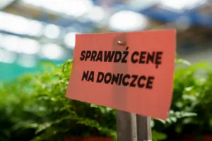 festiwal roslin 2025 w skierniewicach zobacz jak wygladalo wydarzenie 45 z 48