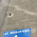 img 0069