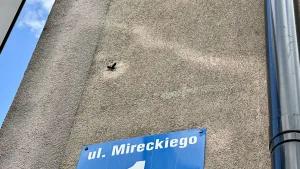 Od 10 kwietnia zmiana organizacji ruchu na ulicy Mireckiego w Skierniewicach 12 img 0069