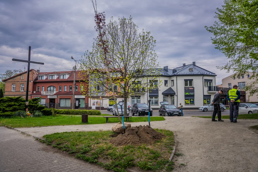 sadzenie drzew w skierniewicach z okazji miedzynarodowego dnia ziemi 1 z 48