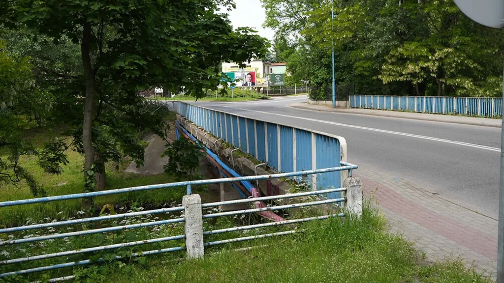 most prymasowska skierniewice