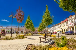 rynek w skierniewicach w wiosennej odslonie zobacz zdjecia 1 z 29