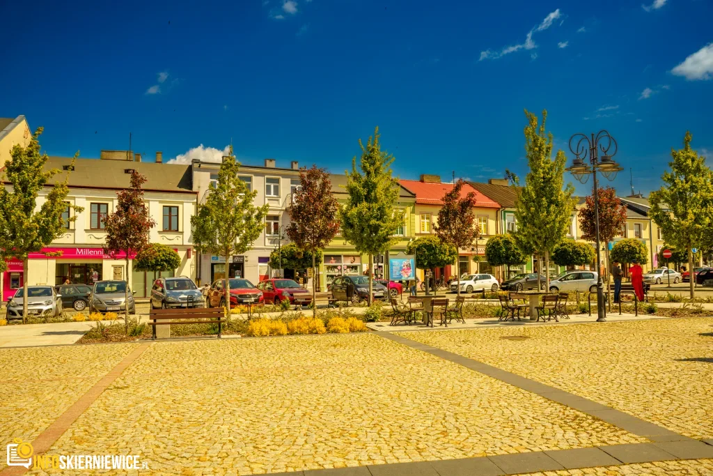 Rynek w Skierniewicach w wiosennej odsłonie 38 rynek w skierniewicach w wiosennej odslonie zobacz zdjecia 12 z 29 1024x683 watermarked large