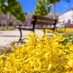 rynek w skierniewicach w wiosennej odslonie zobacz zdjecia 2 z 29