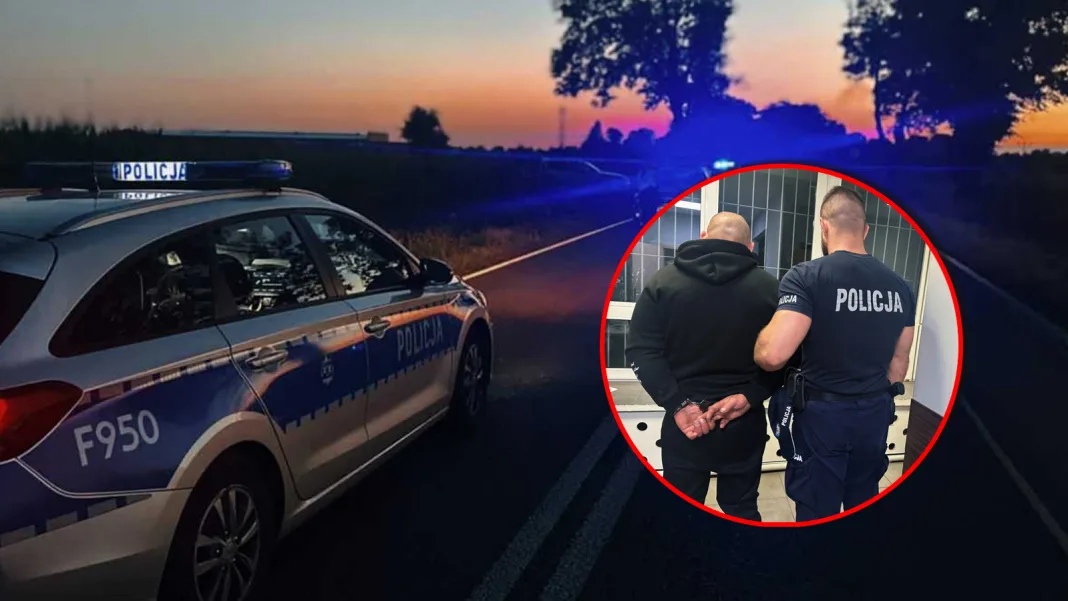 Zatrzymanie nietrzeźwego kierowcy przez policję ze Skierniewic po kolizji w Michałowicach, gmina Głuchów