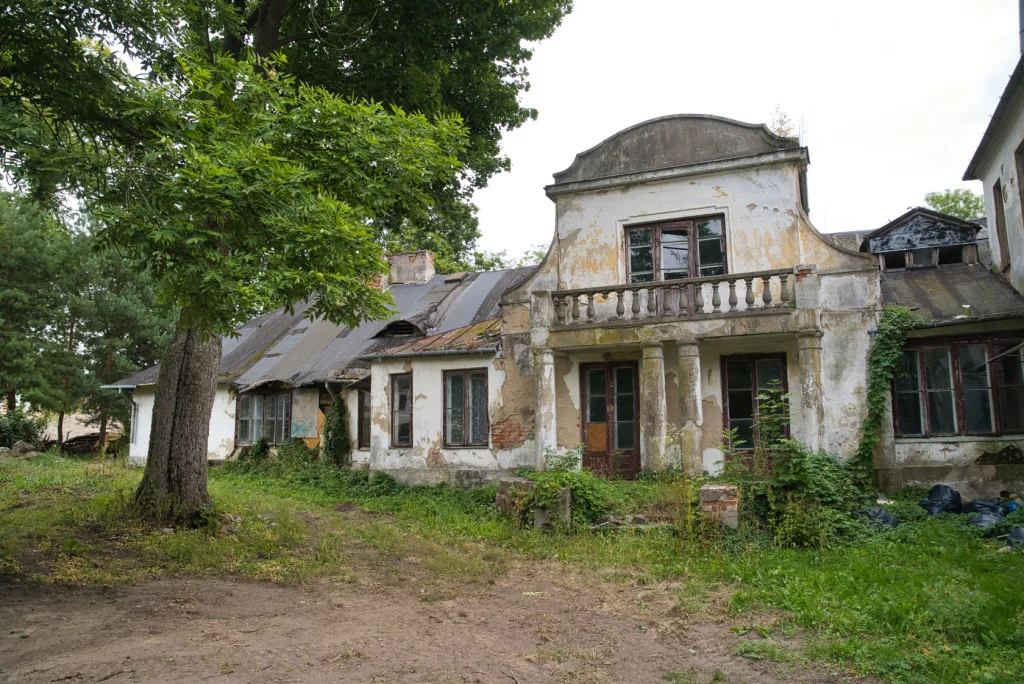 Dwór w Woli Pękoszewskiej – perła Łódzkiego czeka na renowację 33 dsc08658