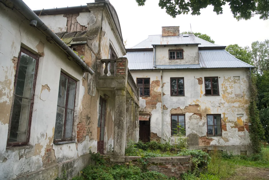 Dwór w Woli Pękoszewskiej – perła Łódzkiego czeka na renowację 33 dsc08662