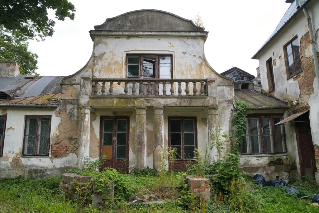 Dwór w Woli Pękoszewskiej – perła Łódzkiego czeka na renowację 33 dsc08663
