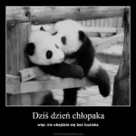 oto smieszne memy na dzien chlopaka 2025 031