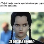 dzien szefa 2025 zobacz najlepsze memy 001