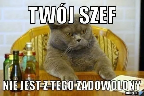 dzien szefa 2025 zobacz najlepsze memy 002