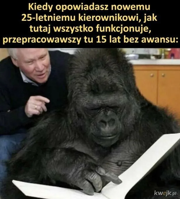 Dzień Szefa 2025: Zobacz najlepsze MEMY o tych, którzy trzymają ster w firmie! 37 dzien szefa 2025 zobacz najlepsze memy 003