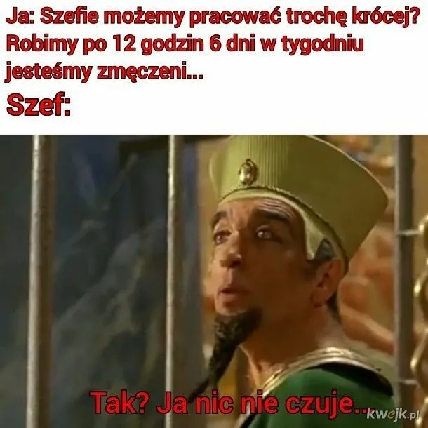 dzien szefa 2025 zobacz najlepsze memy 004