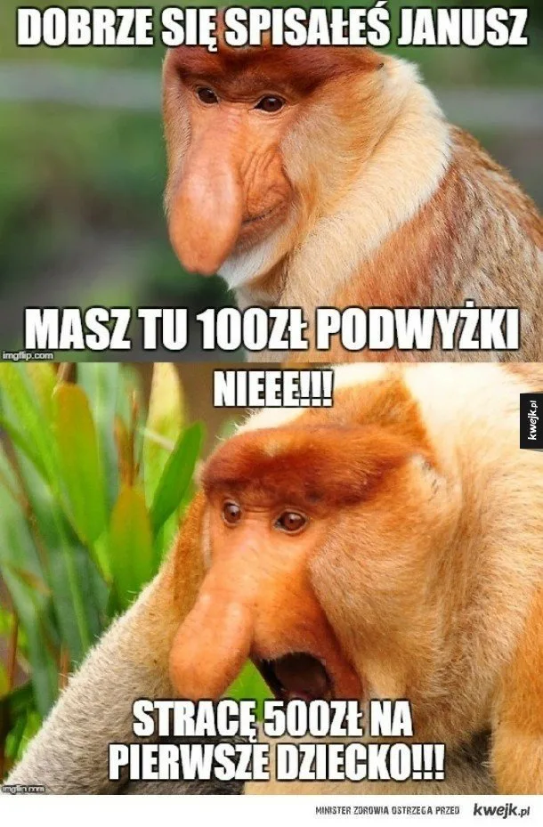 dzien szefa 2025 zobacz najlepsze memy 005