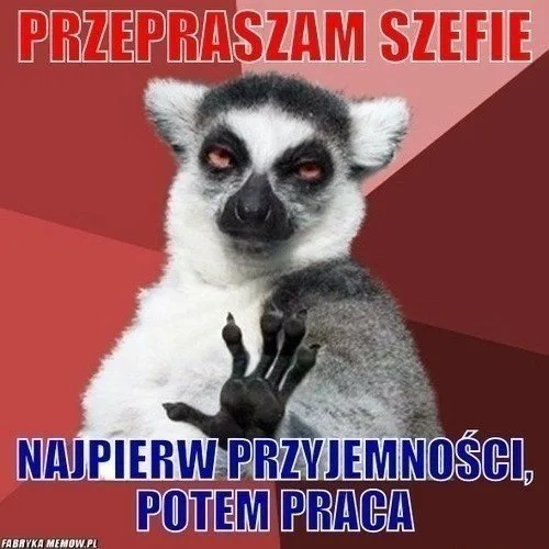 dzien szefa 2025 zobacz najlepsze memy 016